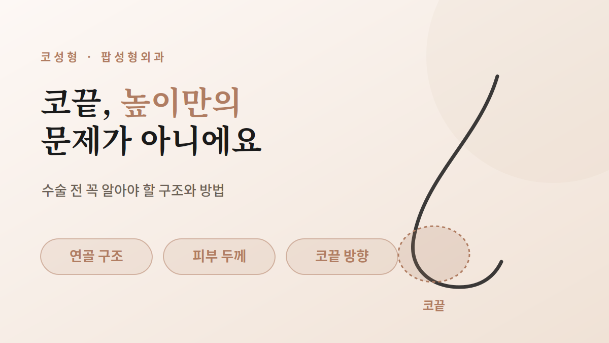 코끝성형, 수술 전에 꼭 알아야 할 구조와 방법