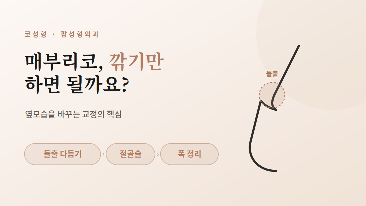 매부리코 교정, 수술 전에 꼭 알아야 할 핵심 정보