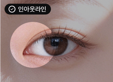 인아웃라인
